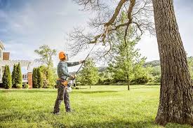 Best Weed Control  in Saint Davids, PA