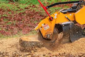 Best Lawn Irrigation Installation and Maintenance  in Saint Davids, PA