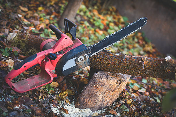 Best Lawn Renovation and Restoration  in Saint Davids, PA